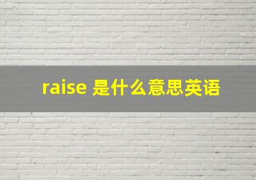 raise 是什么意思英语